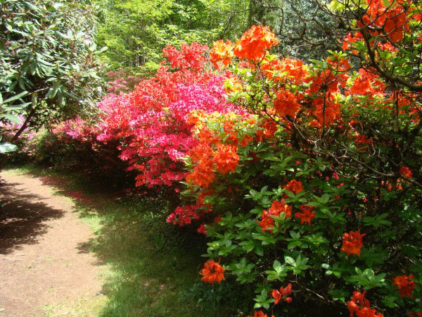Garden of Lostanges