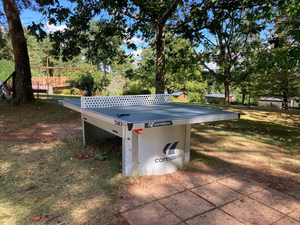 Ping-pong