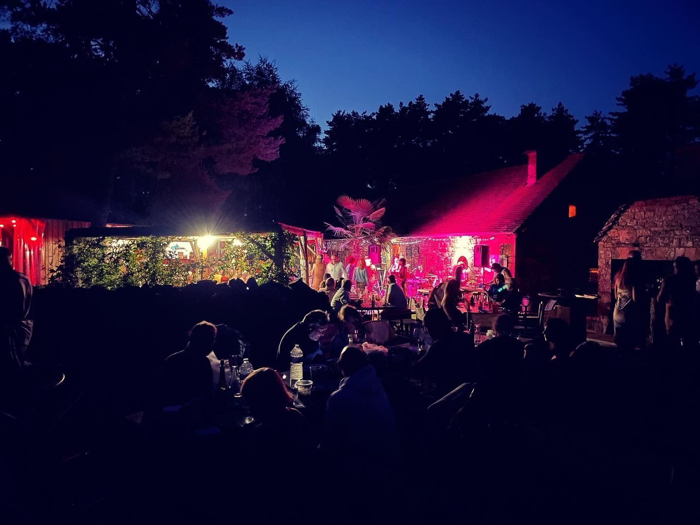 Animation concert du mercredi soir